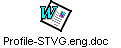 Profile-STVG.eng.doc